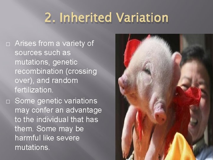 2. Inherited Variation � � Arises from a variety of sources such as mutations,
