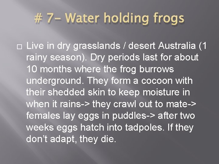 # 7 - Water holding frogs � Live in dry grasslands / desert Australia