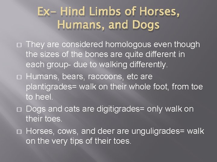 Ex- Hind Limbs of Horses, Humans, and Dogs � � They are considered homologous