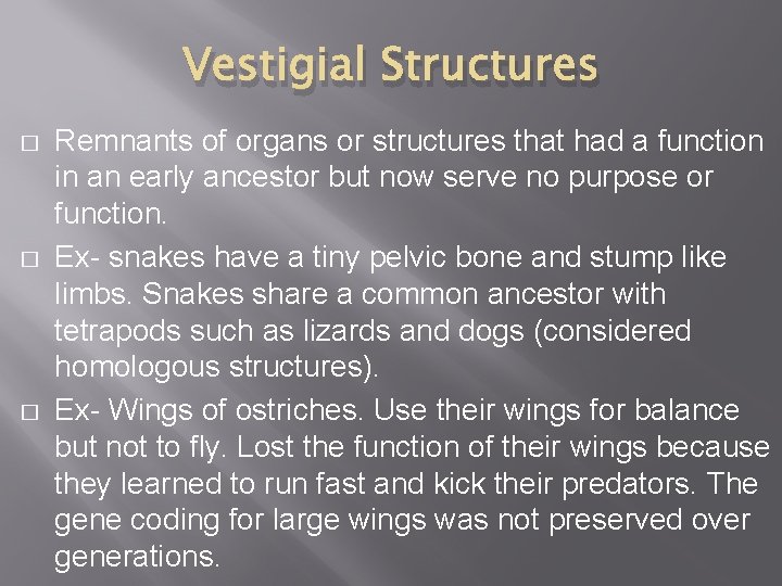 Vestigial Structures � � � Remnants of organs or structures that had a function