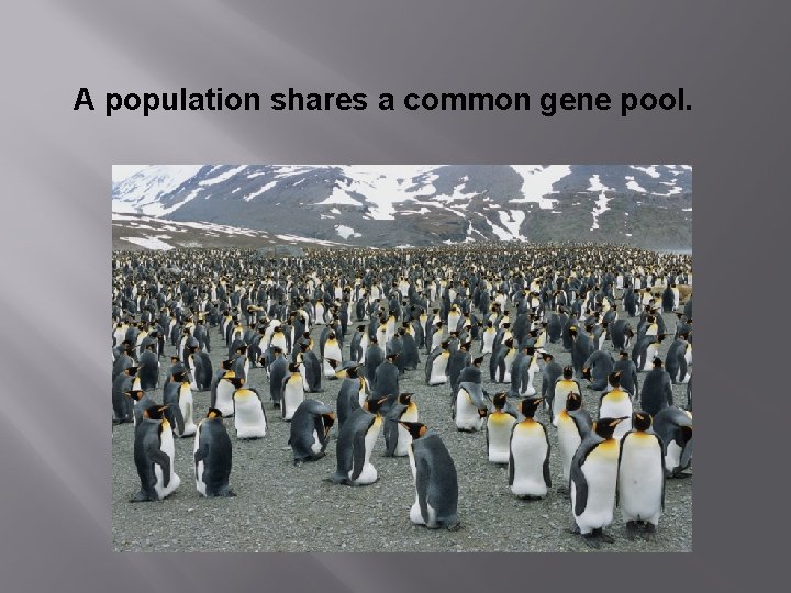 A population shares a common gene pool. 