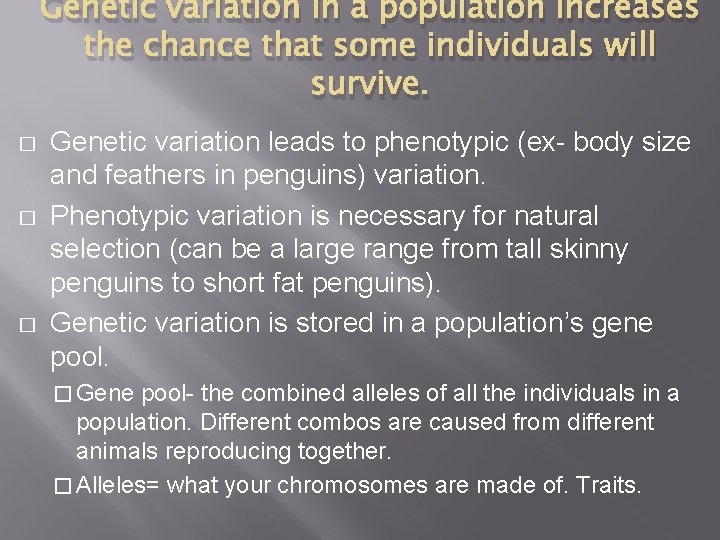 Genetic variation in a population increases the chance that some individuals will survive. �