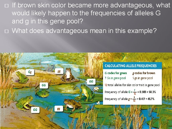 � � If brown skin color became more advantageous, what would likely happen to