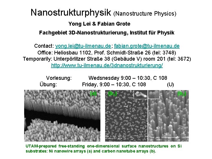 Nanostrukturphysik (Nanostructure Physics) Yong Lei & Fabian Grote Fachgebiet 3 D-Nanostrukturierung, Institut für Physik