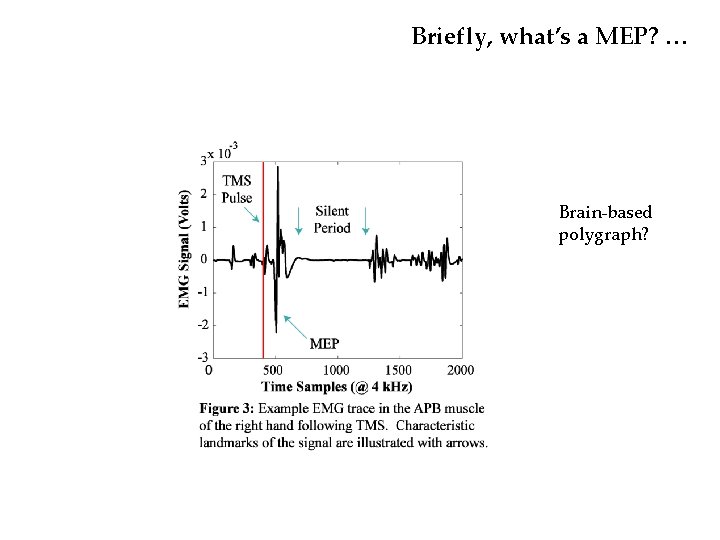 Briefly, what’s a MEP? … Brain-based polygraph? Briefly, what’s a MEP? … Brain-based polygraph?