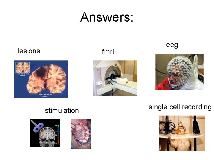 Answers: lesions fmri stimulation eeg single cell recording Answers: lesions fmri stimulation eeg single cell recording