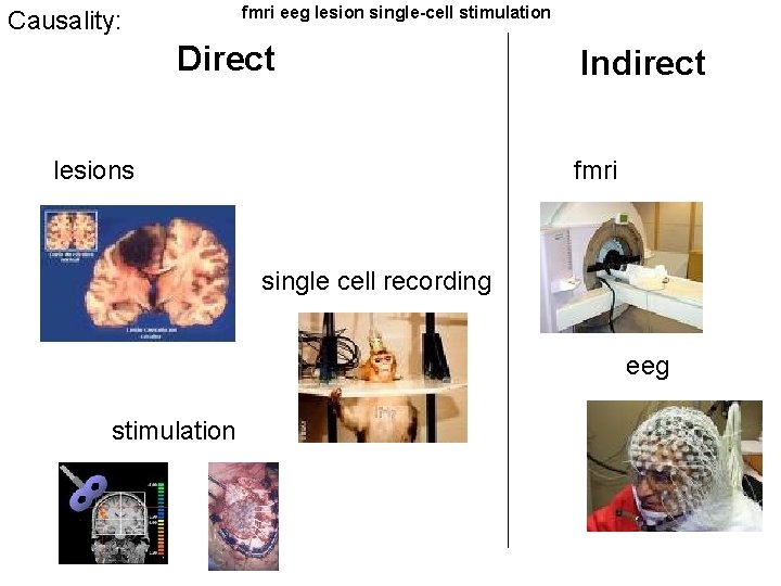 fmri eeg lesion single-cell stimulation Causality: Direct lesions Indirect fmri single cell recording eeg fmri eeg lesion single-cell stimulation Causality: Direct lesions Indirect fmri single cell recording eeg