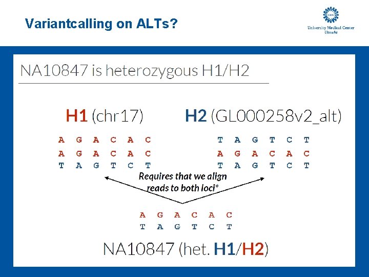 Variantcalling on ALTs? 