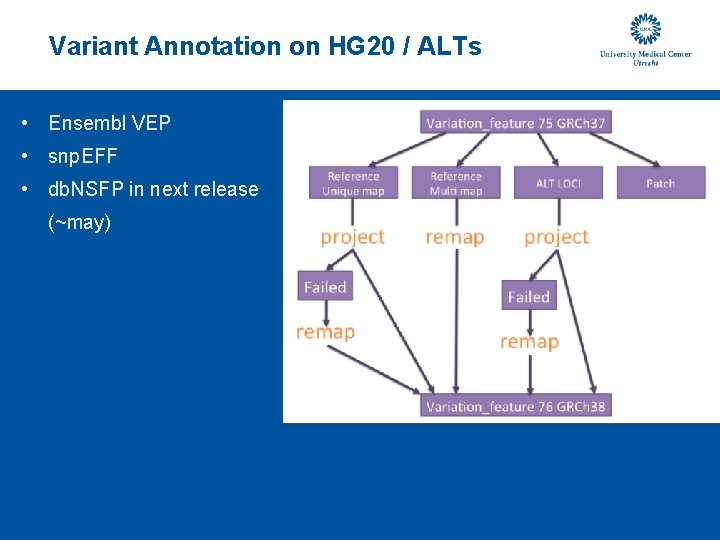 Variant Annotation on HG 20 / ALTs • Ensembl VEP • snp. EFF •