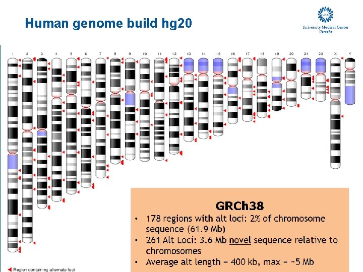 Human genome build hg 20 