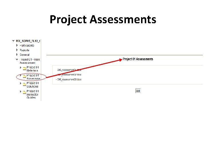 Project Assessments 