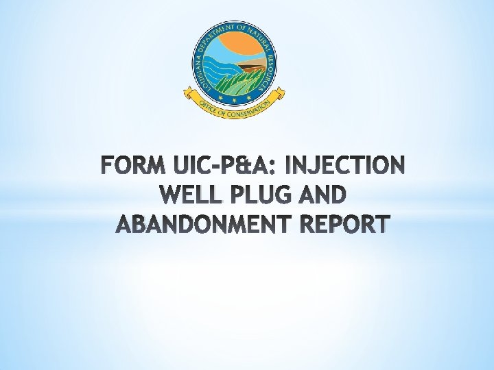 FORM UIC-P&A: INJECTION WELL PLUG AND ABANDONMENT REPORT 