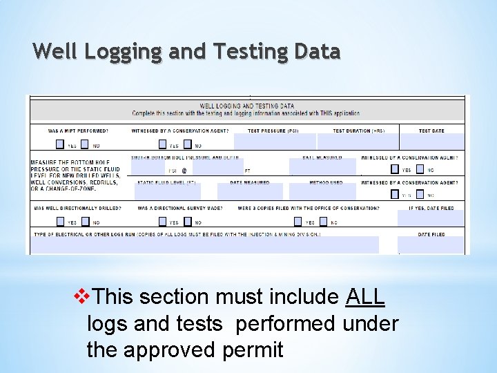 Well Logging and Testing Data v. This section must include ALL logs and tests