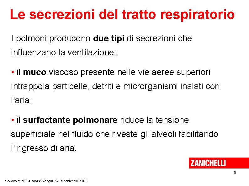 Le secrezioni del tratto respiratorio I polmoni producono due tipi di secrezioni che influenzano