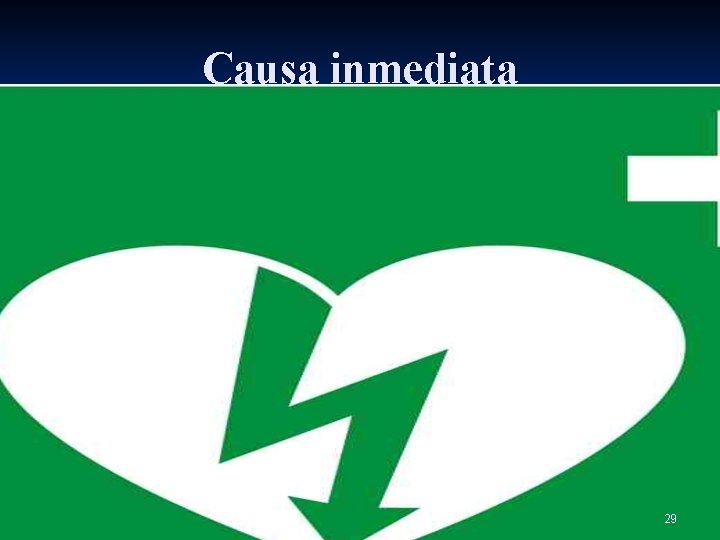 Causa inmediata 29 