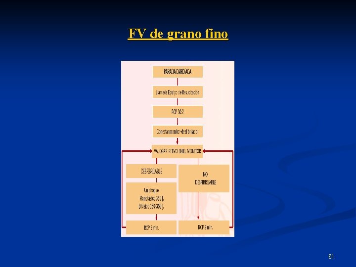 FV de grano fino 61 