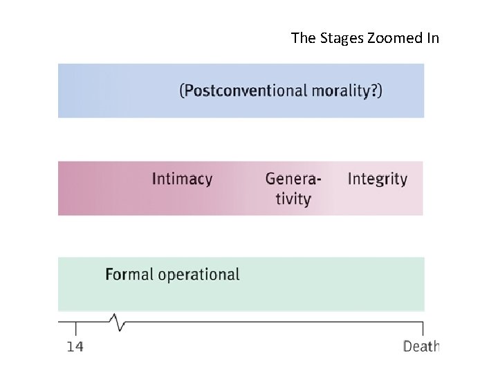 The Stages Zoomed In 