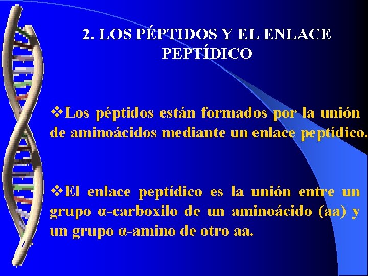 2. LOS PÉPTIDOS Y EL ENLACE PEPTÍDICO v. Los péptidos están formados por la