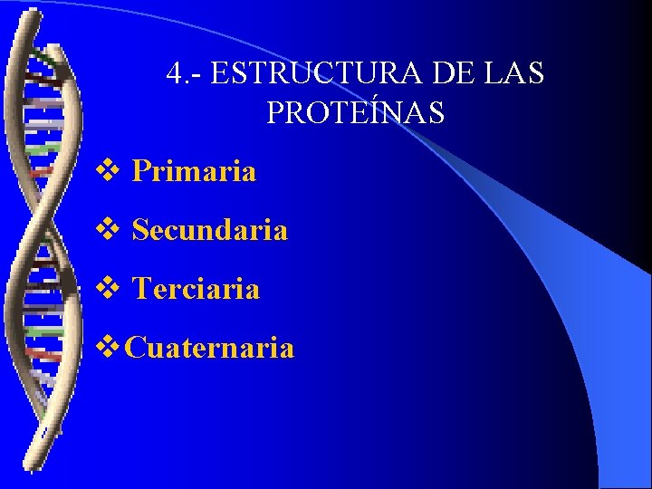 4. - ESTRUCTURA DE LAS PROTEÍNAS v Primaria v Secundaria v Terciaria v. Cuaternaria