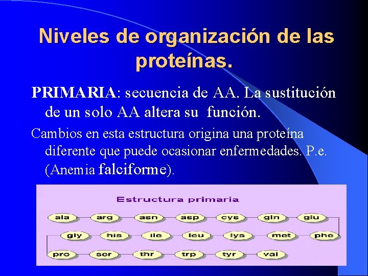 Niveles de organización de las proteínas. PRIMARIA: secuencia de AA. La sustitución de un