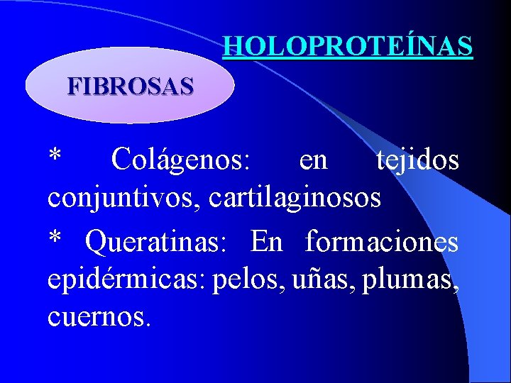 HOLOPROTEÍNAS FIBROSAS * Colágenos: en tejidos conjuntivos, cartilaginosos * Queratinas: En formaciones epidérmicas: pelos,