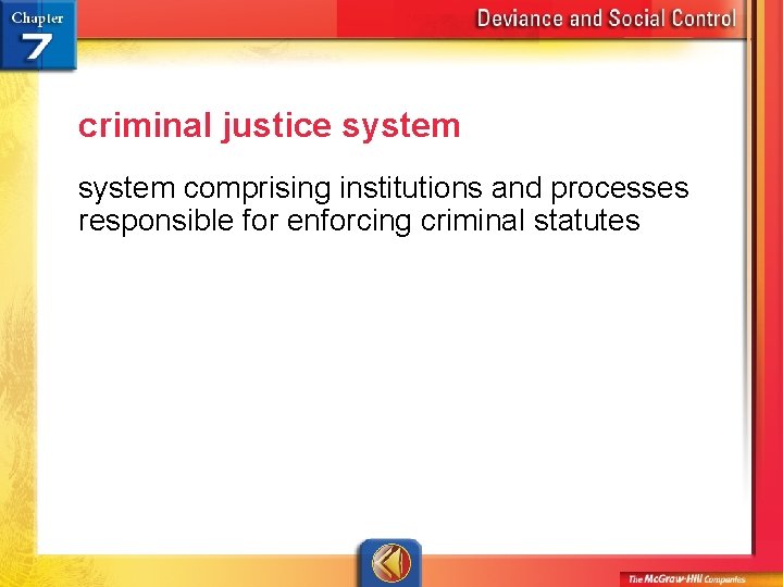 criminal justice system comprising institutions and processes responsible for enforcing criminal statutes 