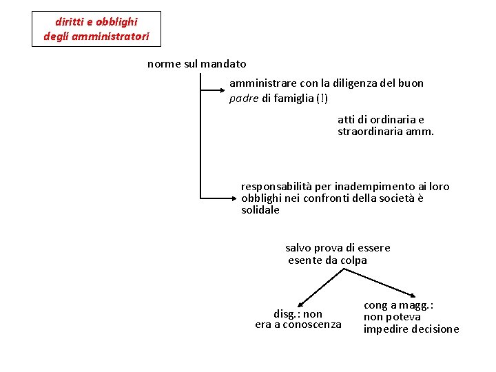 diritti e obblighi degli amministratori norme sul mandato amministrare con la diligenza del buon