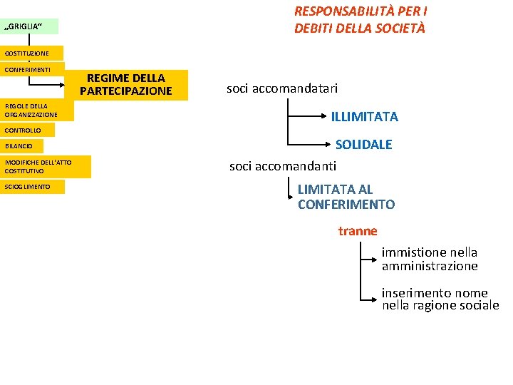 RESPONSABILITÀ PER I DEBITI DELLA SOCIETÀ „GRIGLIA“ COSTITUZIONE CONFERIMENTI REGOLE DELLA ORGANIZZAZIONE REGIME DELLA