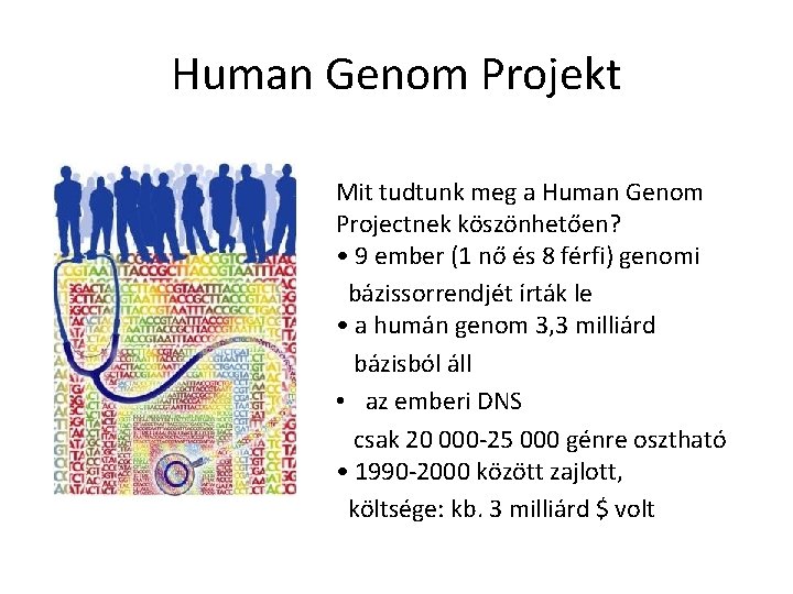 Human Genom Projekt Mit tudtunk meg a Human Genom Projectnek köszönhetően? • 9 ember
