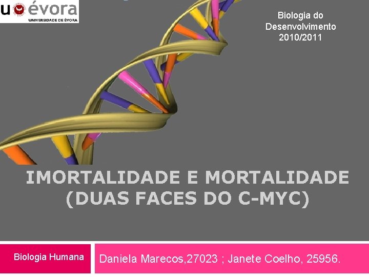 Biologia do Desenvolvimento 2010/2011 IMORTALIDADE E MORTALIDADE (DUAS FACES DO C-MYC) Biologia Humana Daniela