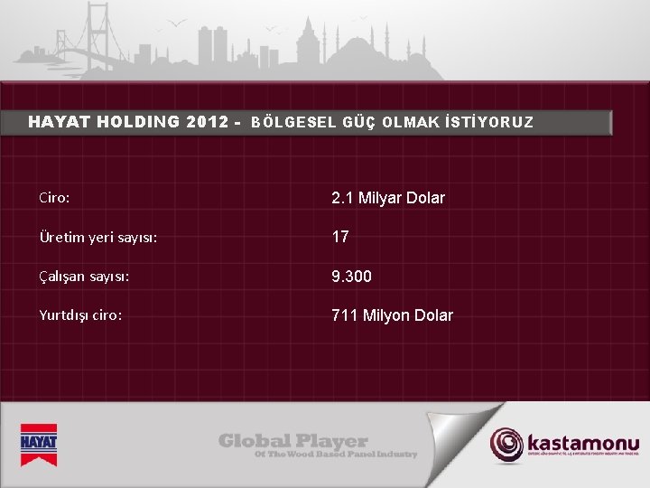 HAYAT HOLDING 2012 - BÖLGESEL GÜÇ OLMAK İSTİYORUZ Ciro: 2. 1 Milyar Dolar Üretim