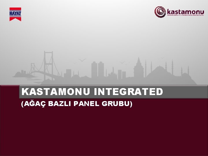 KASTAMONU INTEGRATED (AĞAÇ BAZLI PANEL GRUBU) 