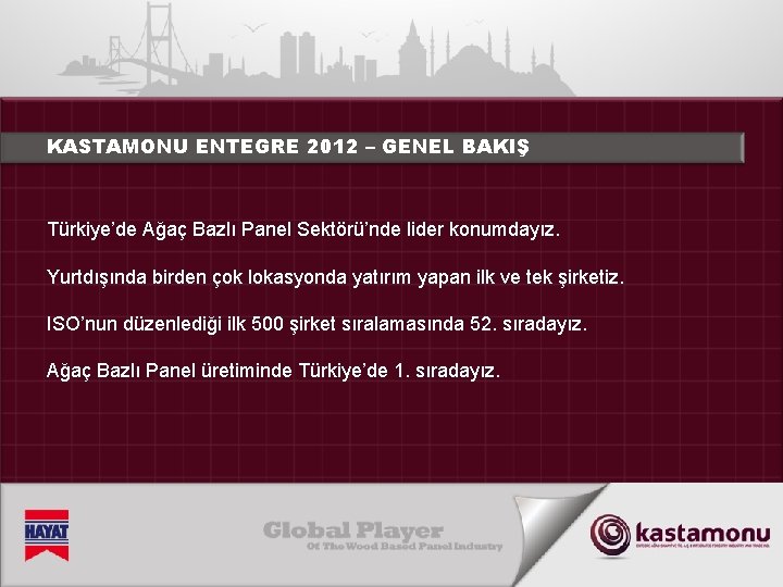 KASTAMONU ENTEGRE 2012 – GENEL BAKIŞ Türkiye’de Ağaç Bazlı Panel Sektörü’nde lider konumdayız. Yurtdışında