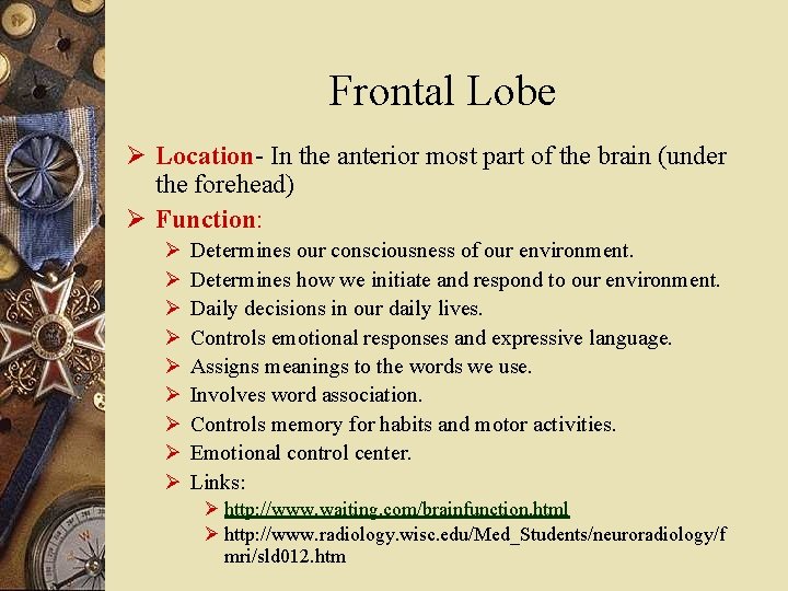 Frontal Lobe Ø Location- In the anterior most part of the brain (under the