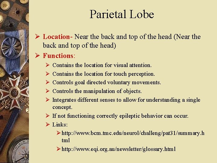 Parietal Lobe Ø Location- Near the back and top of the head (Near the