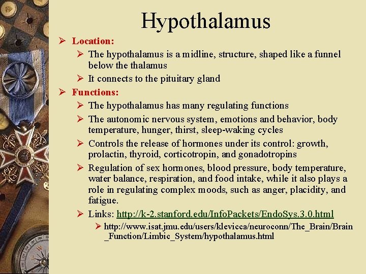 Hypothalamus Ø Location: Ø The hypothalamus is a midline, structure, shaped like a funnel