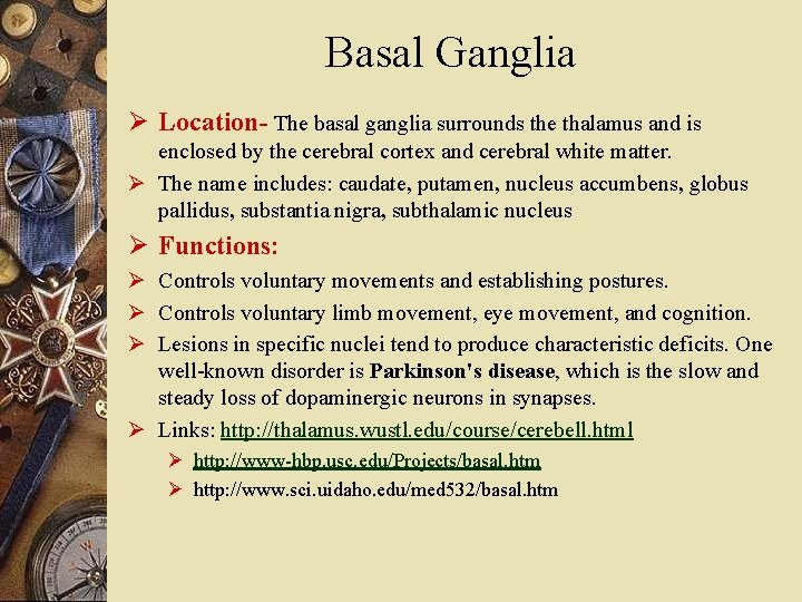 Basal Ganglia Ø Location- The basal ganglia surrounds the thalamus and is enclosed by