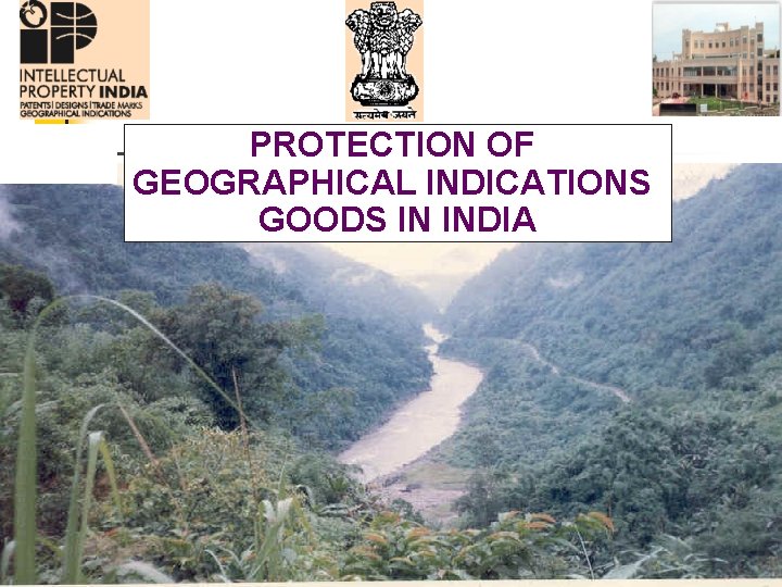 PROTECTION OF GEOGRAPHICAL INDICATIONS GOODS IN INDIA 