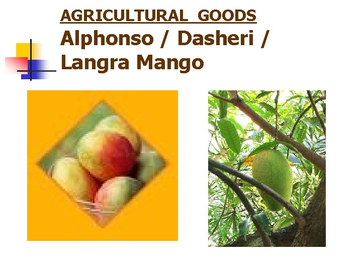 AGRICULTURAL GOODS Alphonso / Dasheri / Langra Mango 