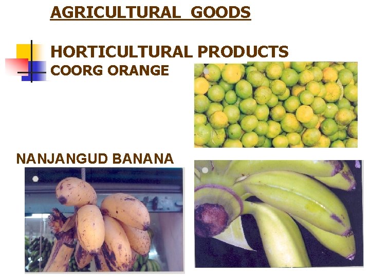 AGRICULTURAL GOODS HORTICULTURAL PRODUCTS COORG ORANGE NANJANGUD BANANA 