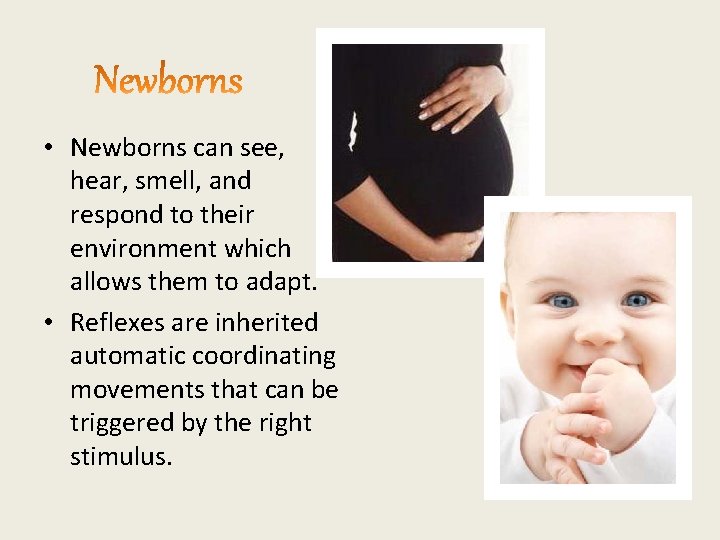  • Newborns can see, hear, smell, and respond to their environment which allows