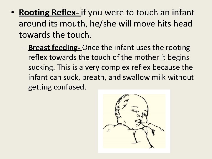  • Rooting Reflex- if you were to touch an infant around its mouth,