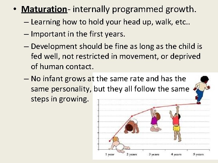  • Maturation- internally programmed growth. – Learning how to hold your head up,