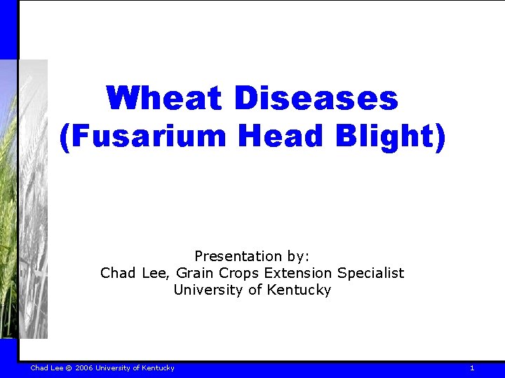 Wheat Diseases (Fusarium Head Blight) Presentation by: Chad Lee, Grain Crops Extension Specialist University