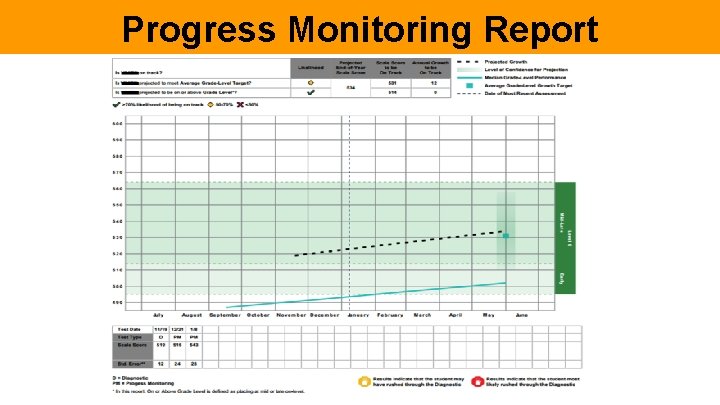 Progress Monitoring Report 