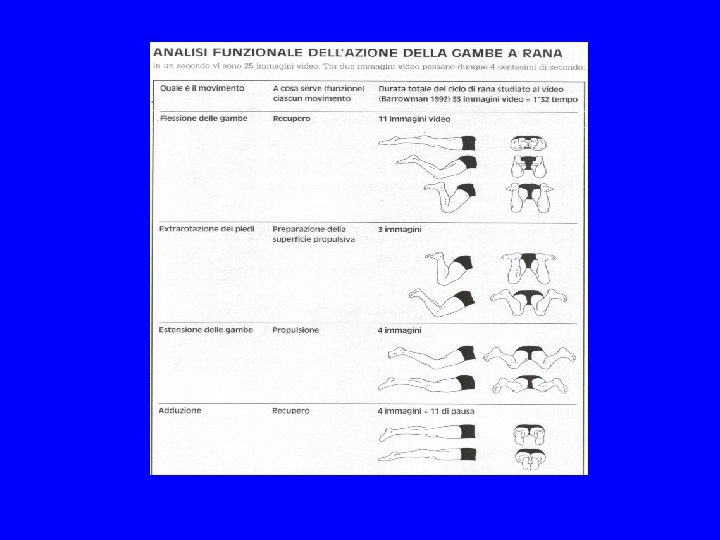 Analisi funzionale dell’azione delle gambe a a rana 