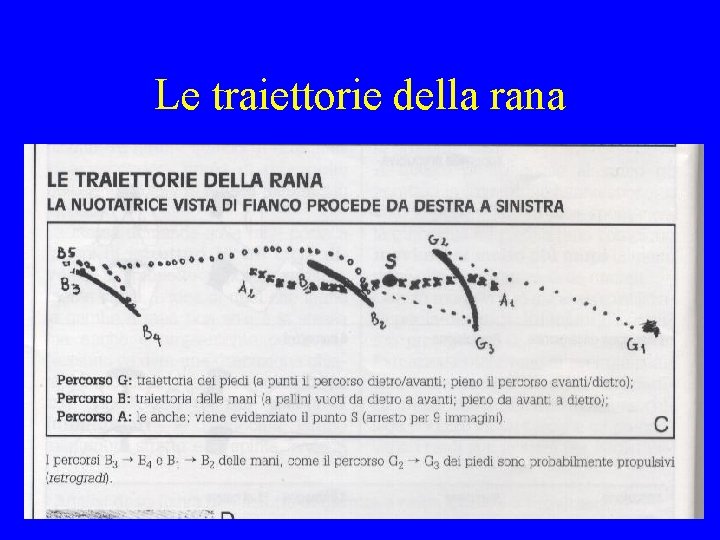 Le traiettorie della rana 