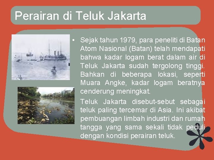 Perairan di Teluk Jakarta • Sejak tahun 1979, para peneliti di Batan Atom Nasional