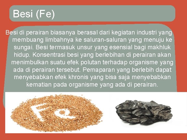 Besi (Fe) Besi di perairan biasanya berasal dari kegiatan industri yang membuang limbahnya ke