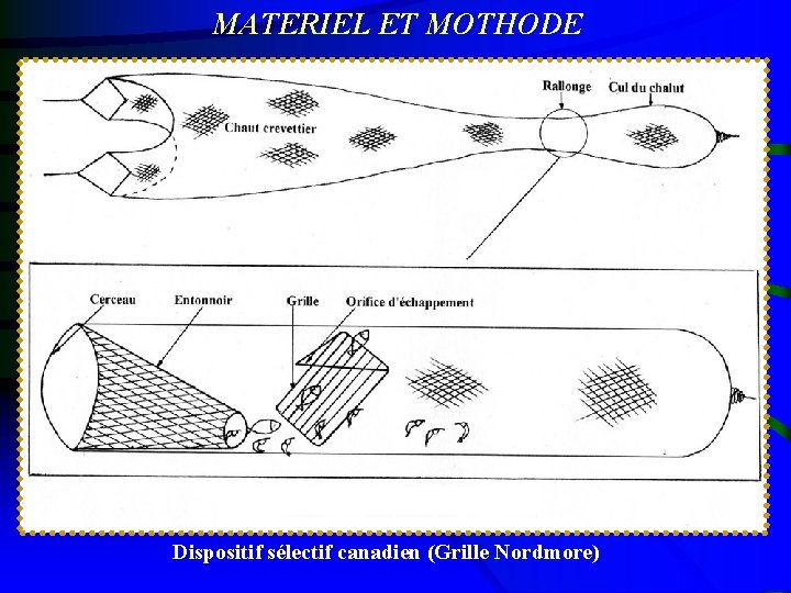 MATERIEL ET MOTHODE Dispositif sélectif canadien (Grille Nordmore) 